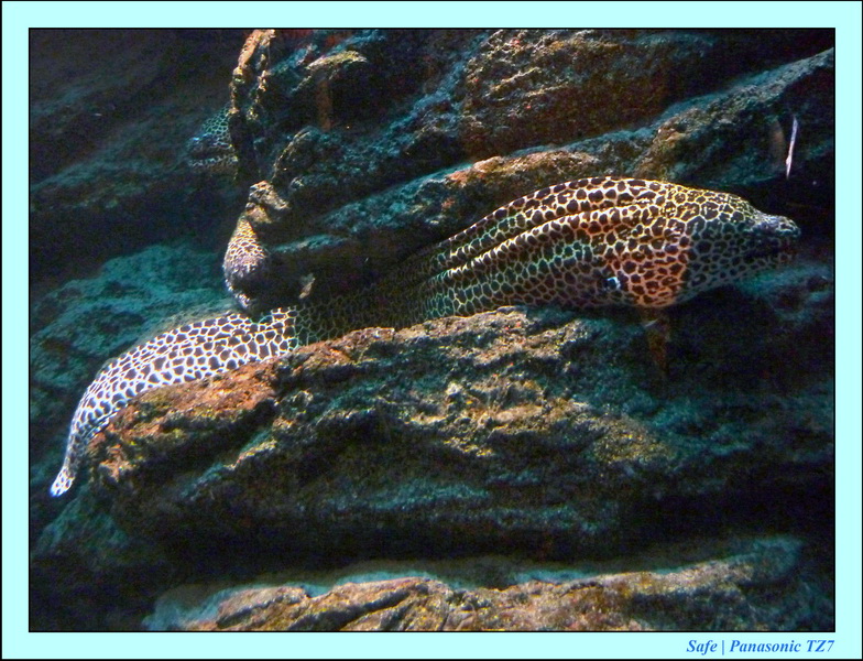 2009   07   Bangkok 07